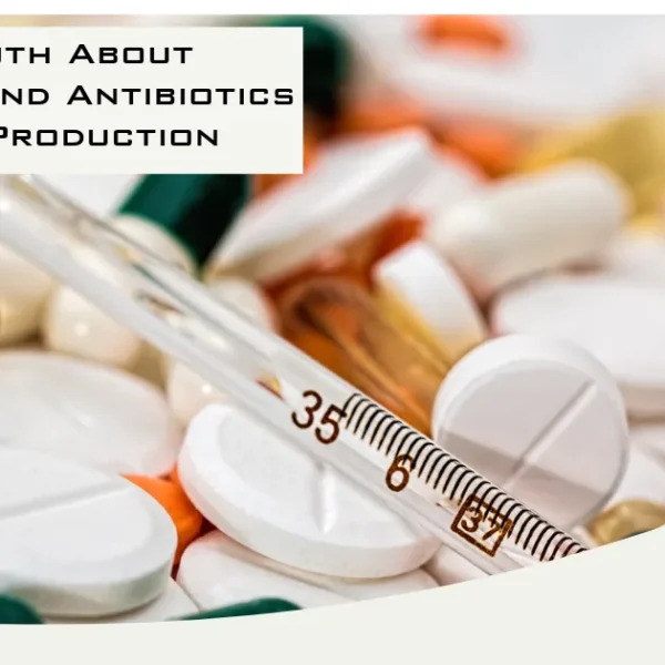 The Truth About Hormones And Antibiotics In Beef Production